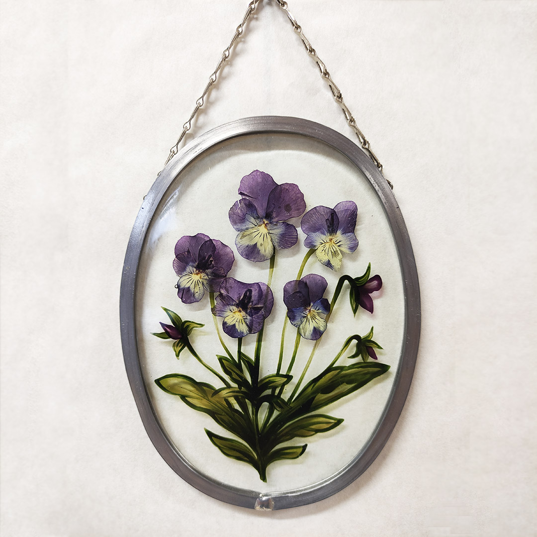 VIOLA DEL PENSIERO